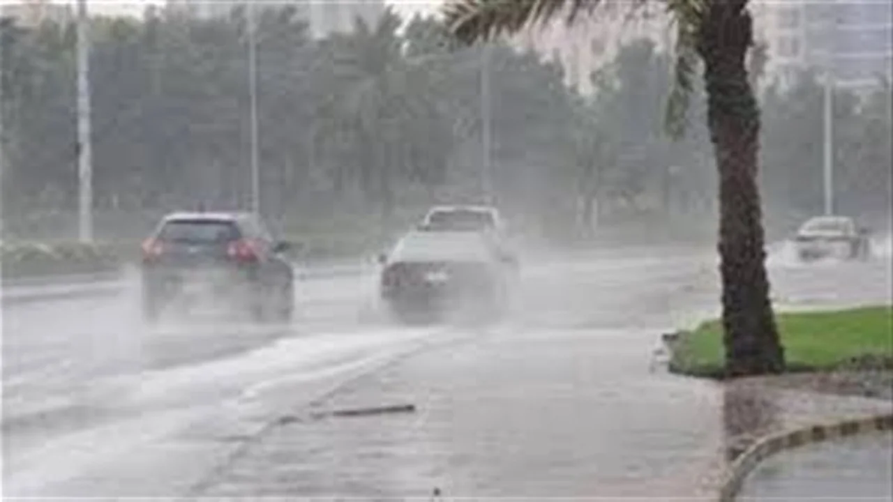 أمطار ورياح باردة.. الأرصاد تحذر من تقلبات طقس الأحد في كافة المحافظات